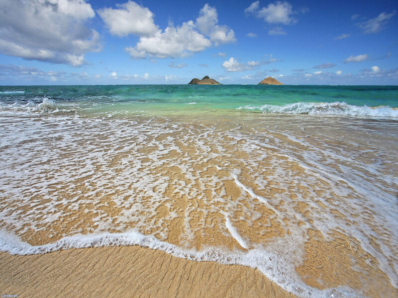 Waves on Sandy Beach — Blue, Serene, Afternoon