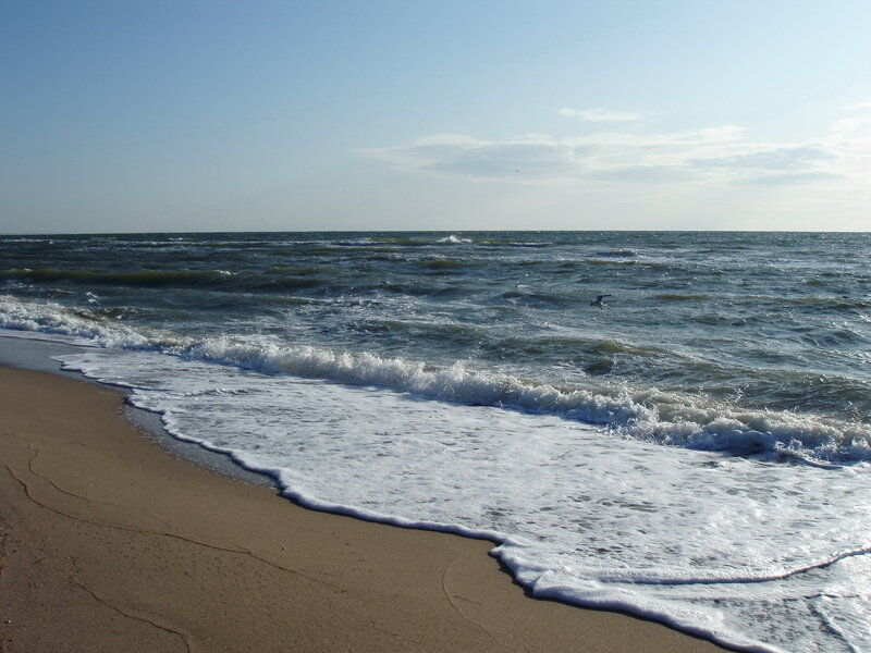 Waves on Sandy Beach