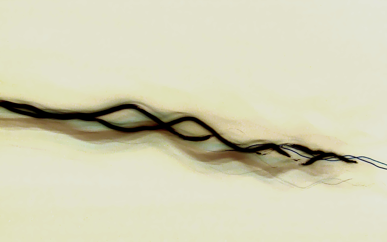 wavy dark line on cream background