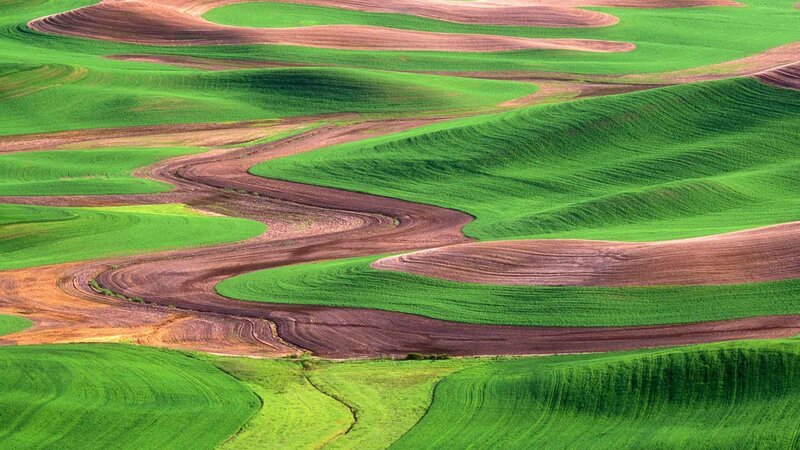 Wavy Green and Brown Fields