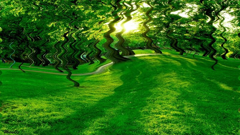 Wavy Green Forest Path