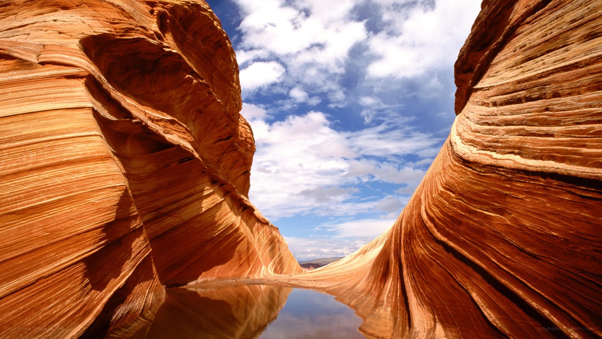 Wavy sandstone canyon with water
