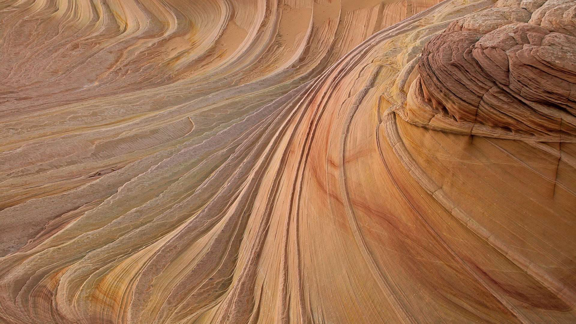 Wavy sandstone formations
