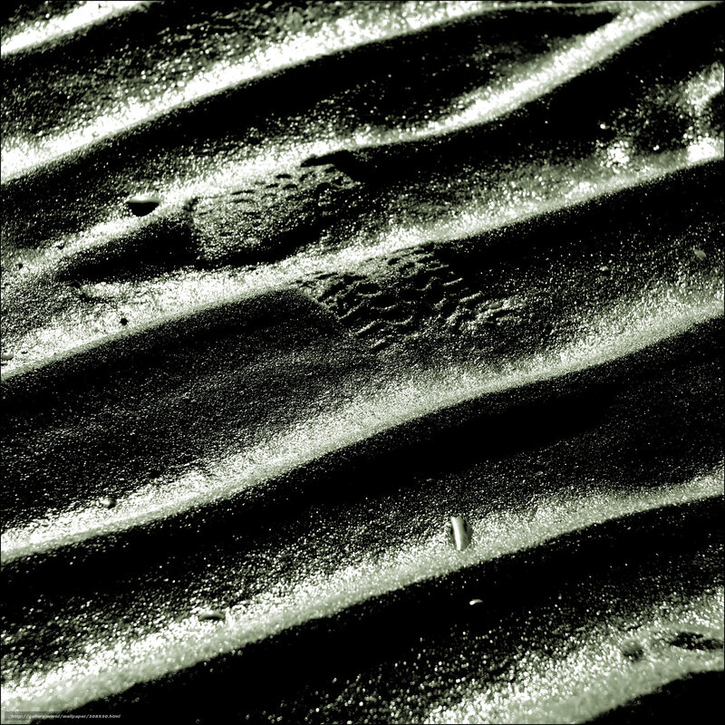 Wavy texture of wet sand