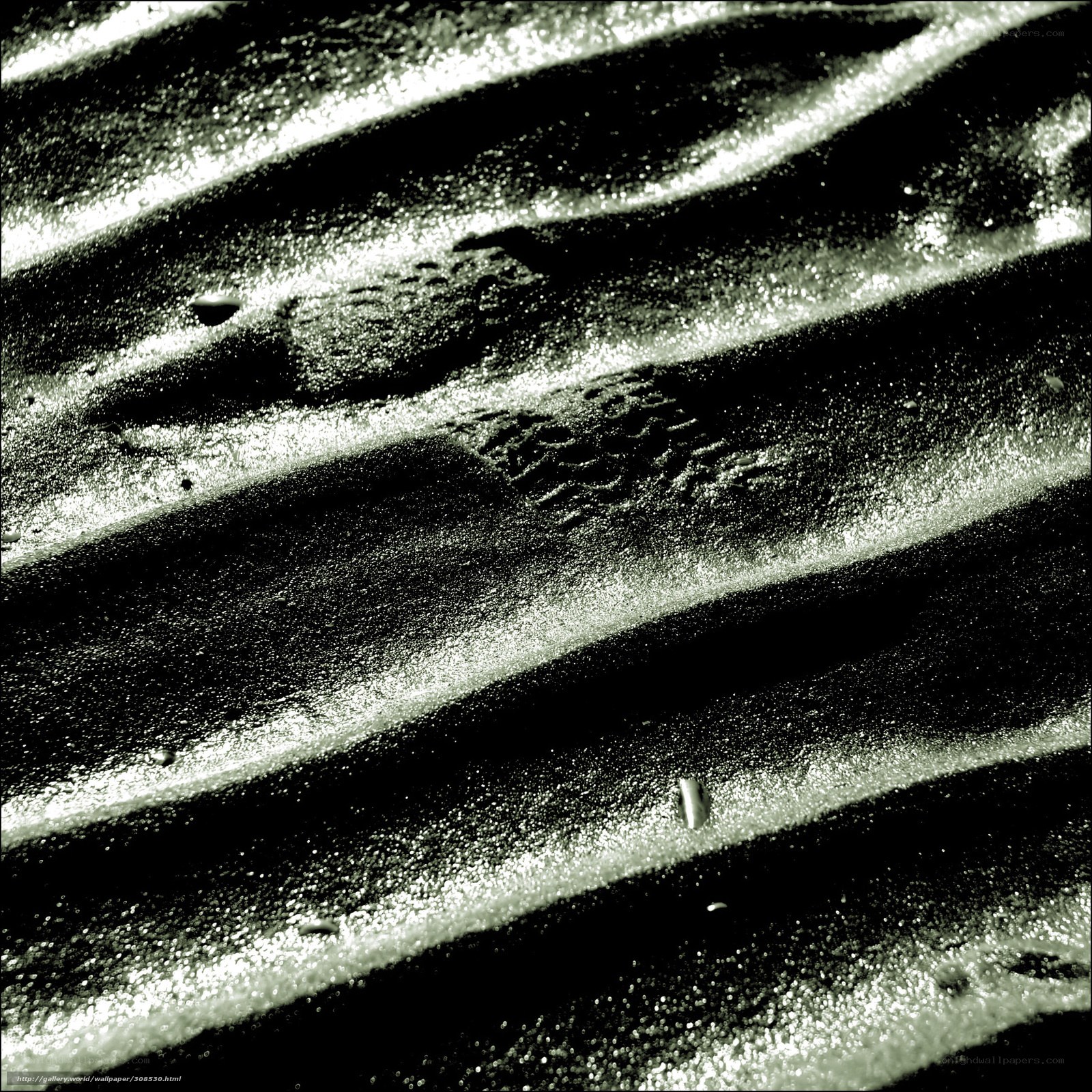 Wavy texture of wet sand