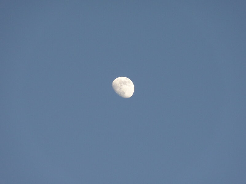 Waxing Crescent Moon — Blue