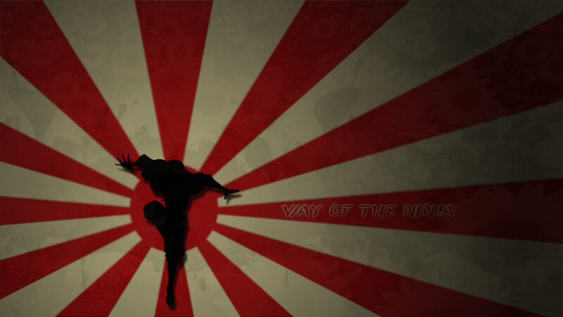 Way of the Ninja
