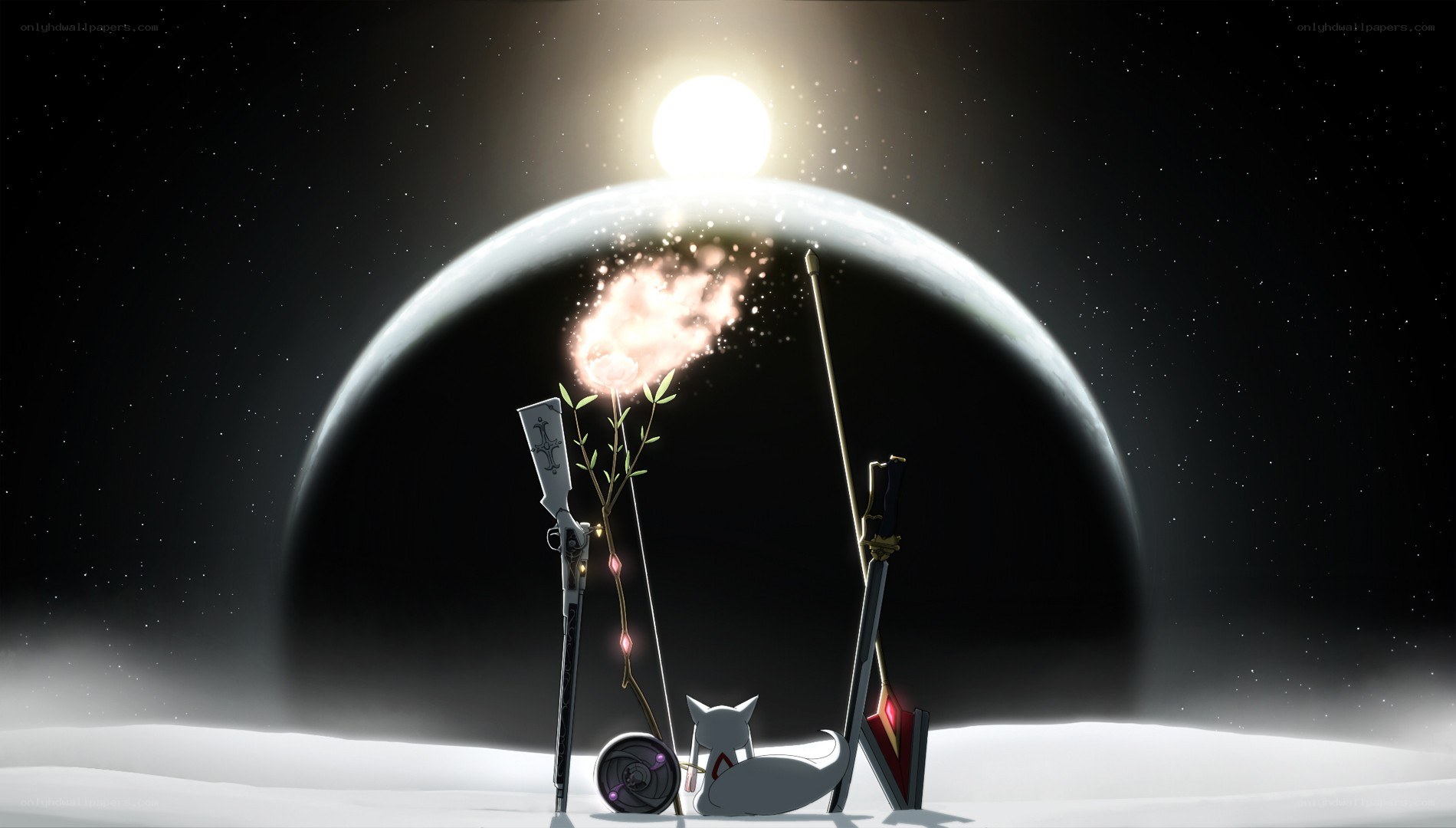 Weapons and a cat on a planet