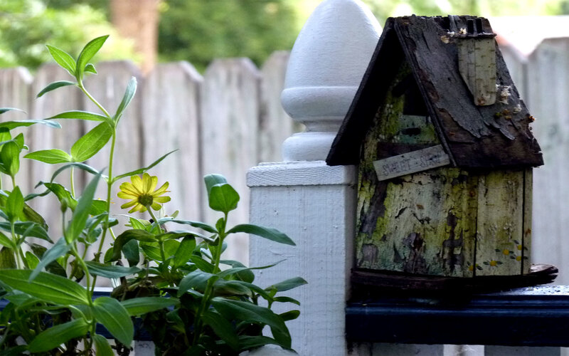 Weathered birdhouse on fence