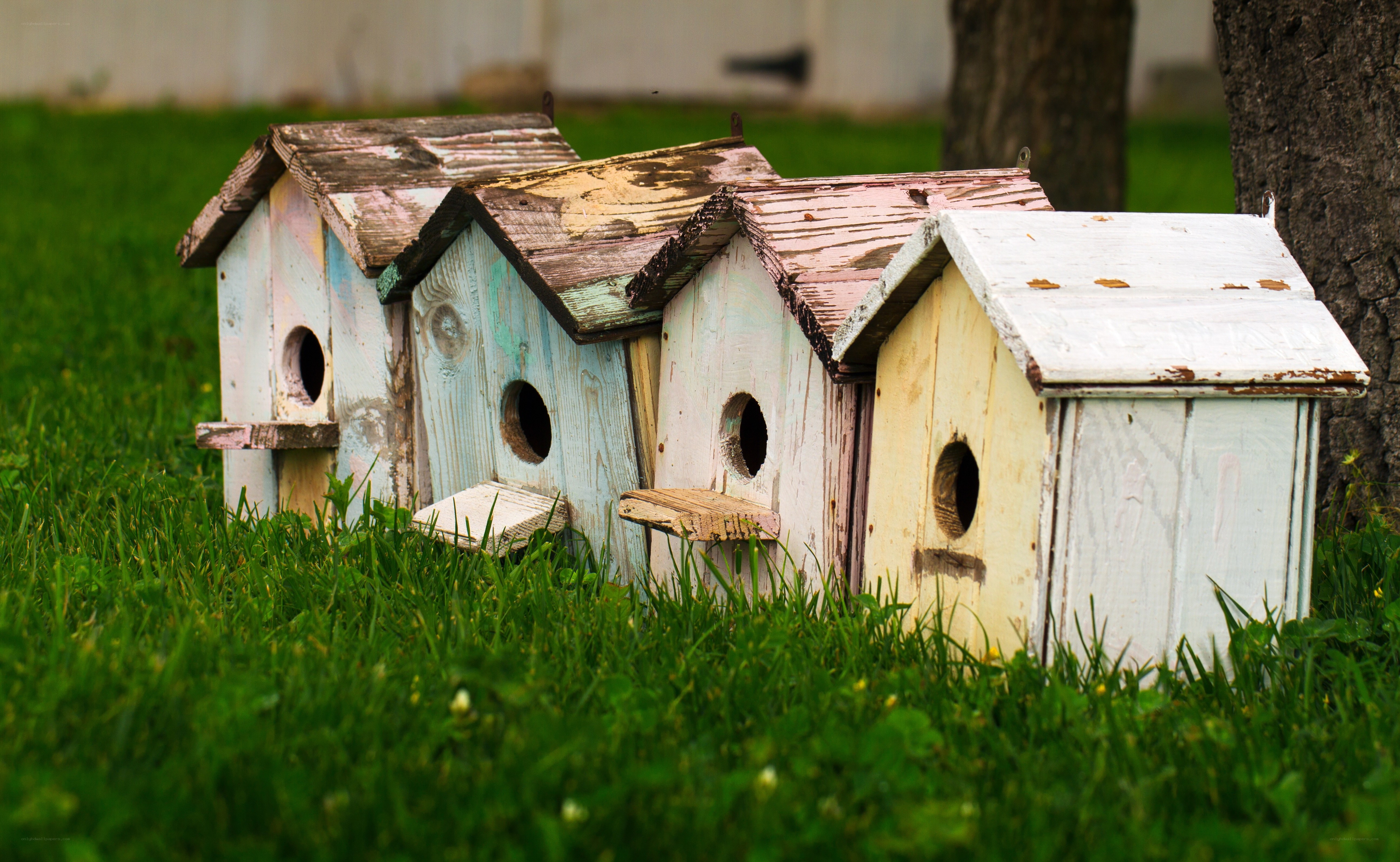 Weathered birdhouses in grass