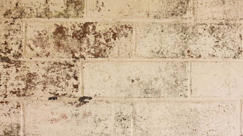 Weathered Brick Wall — Beige