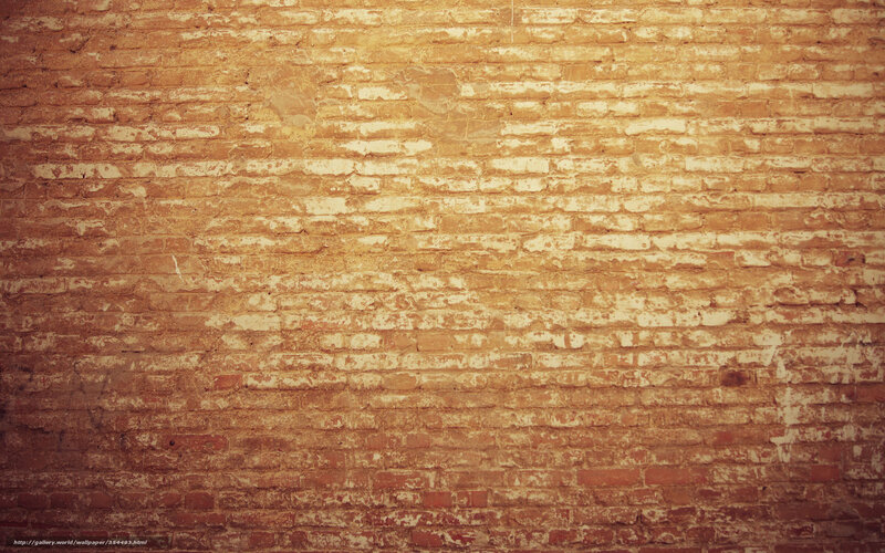 Weathered Brick Wall — Brown, Neutral, Photograph
