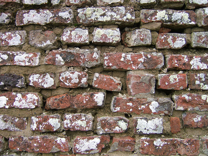 weathered brick wall with lichen