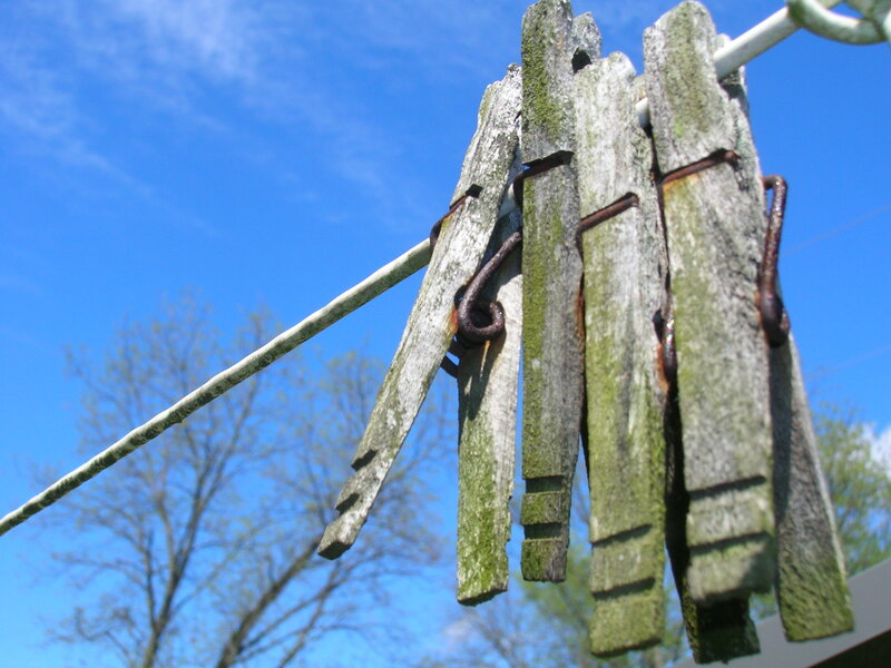 weathered clothespins on a line