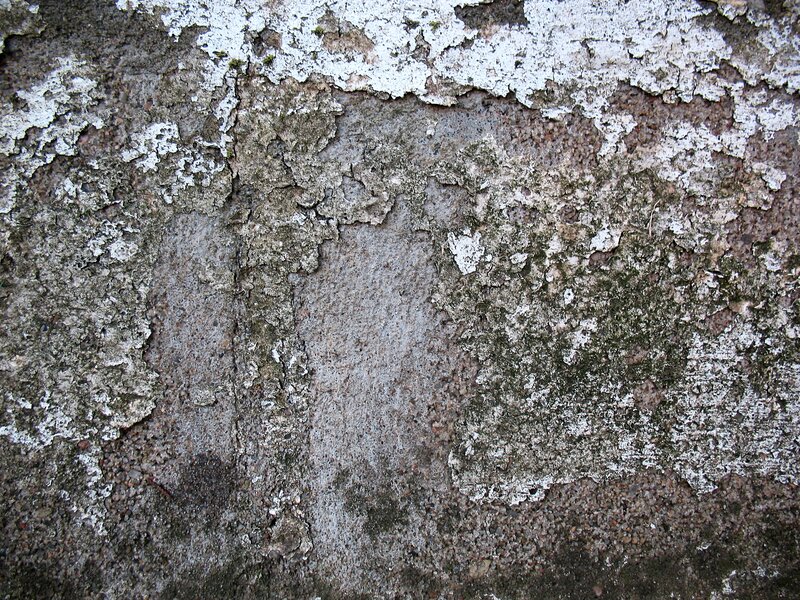 weathered concrete wall texture
