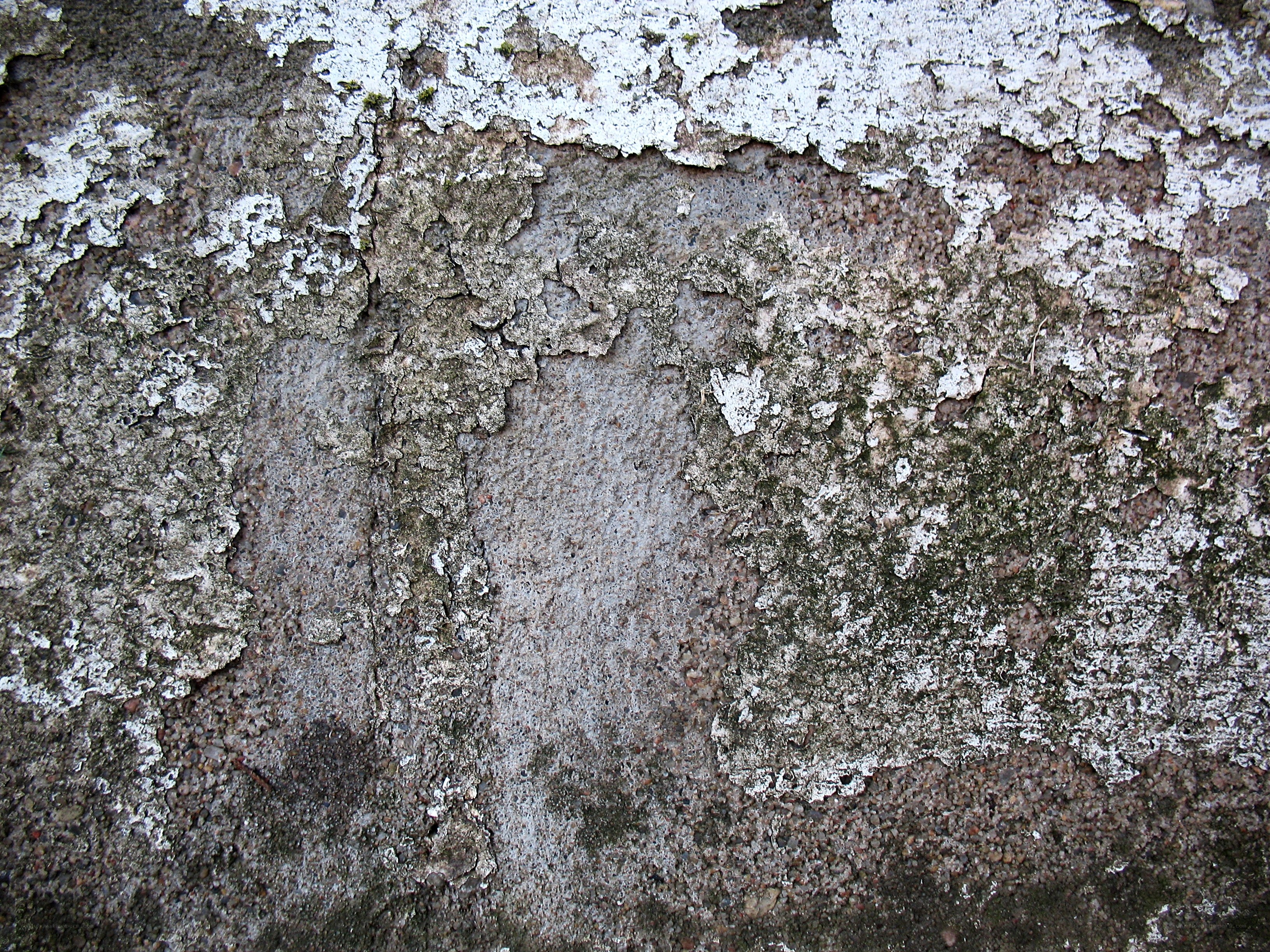weathered concrete wall texture