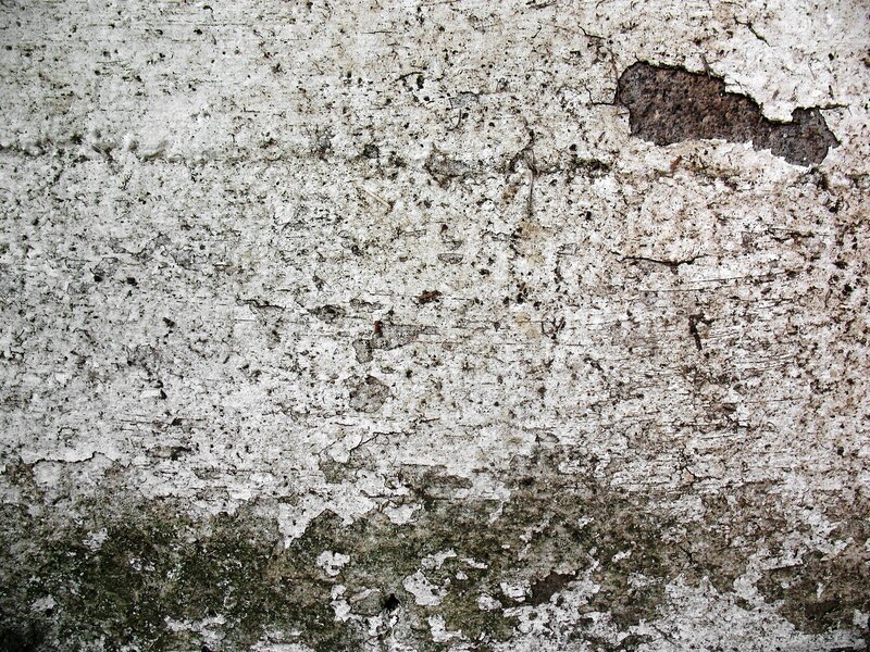 weathered concrete wall texture