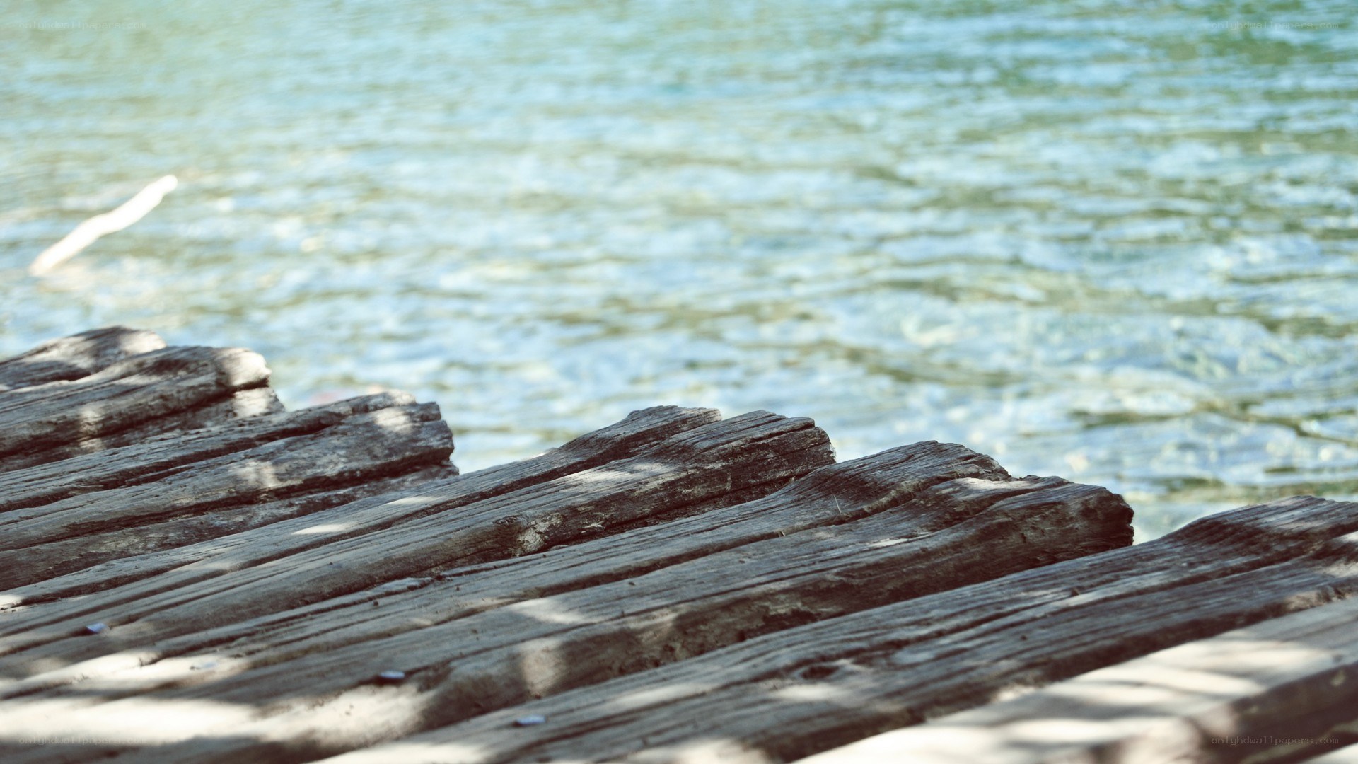 weathered dock by the water