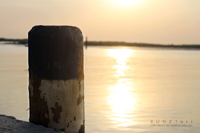 Weathered Dock Post — Gold