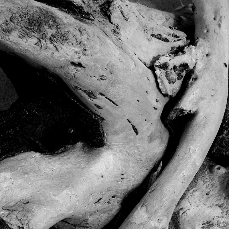 weathered driftwood texture