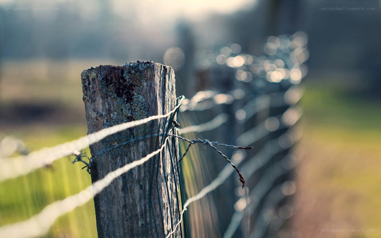 Weathered fence post in field