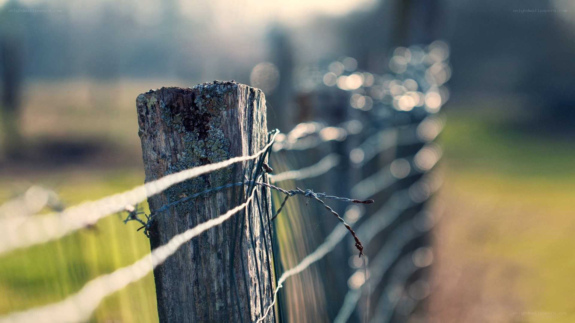 weathered fence post in field