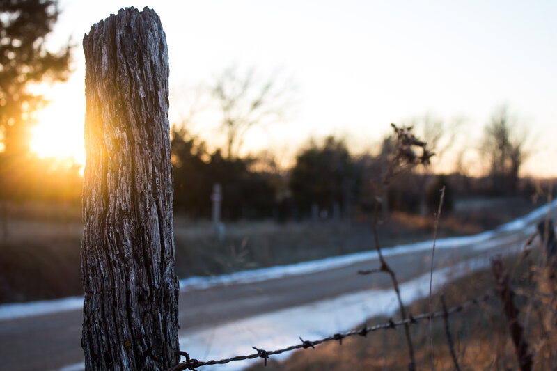 Weathered Fence Post