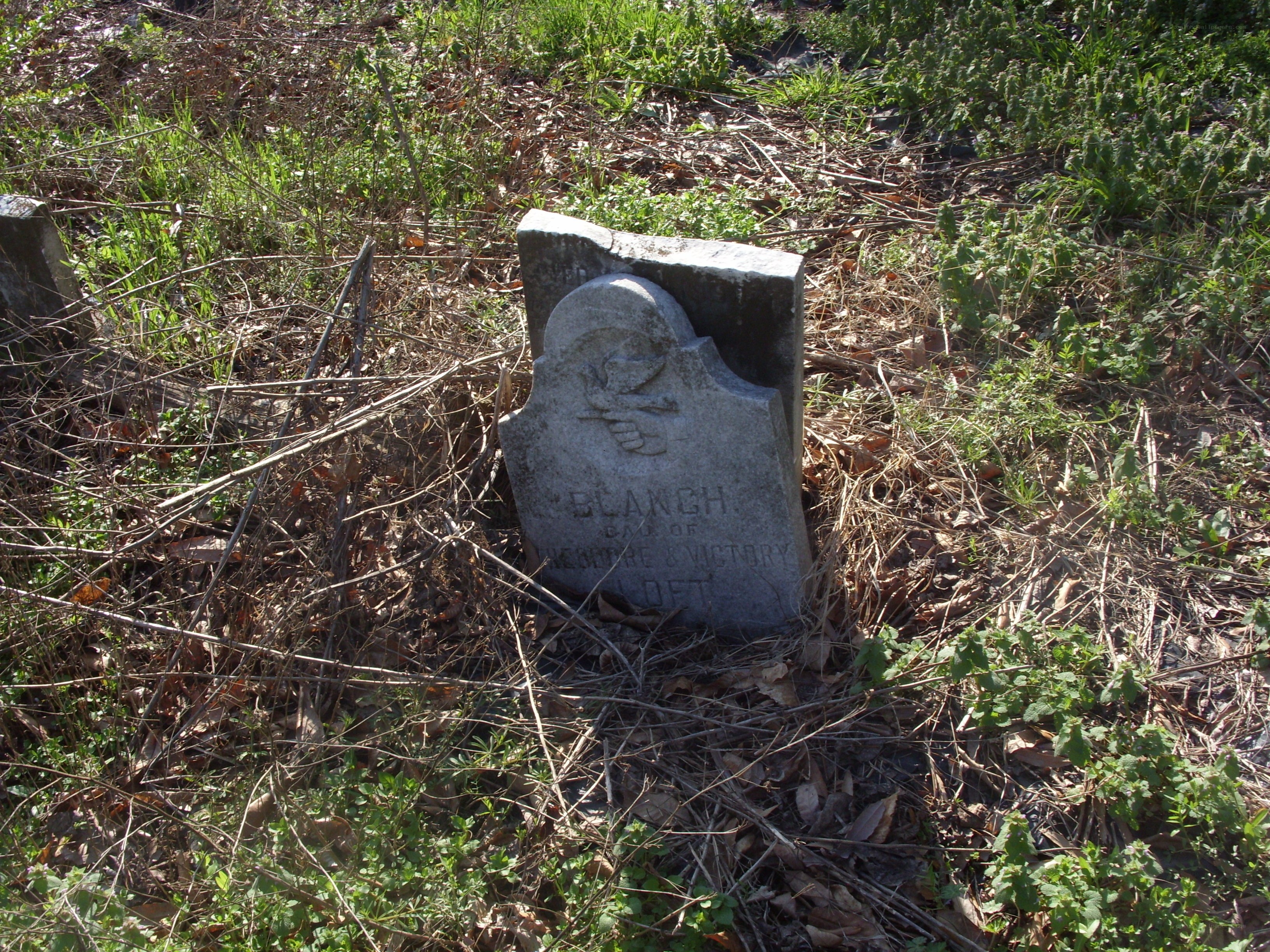 Weathered gravestone in overgrown yard