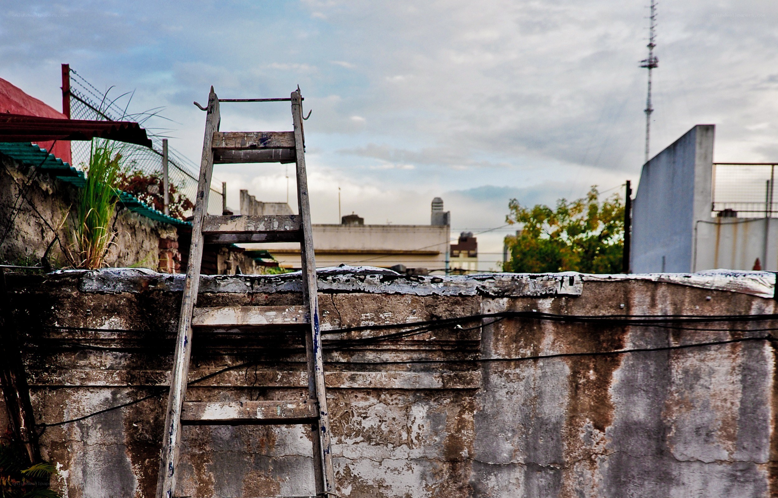 Weathered ladder on a rooftop