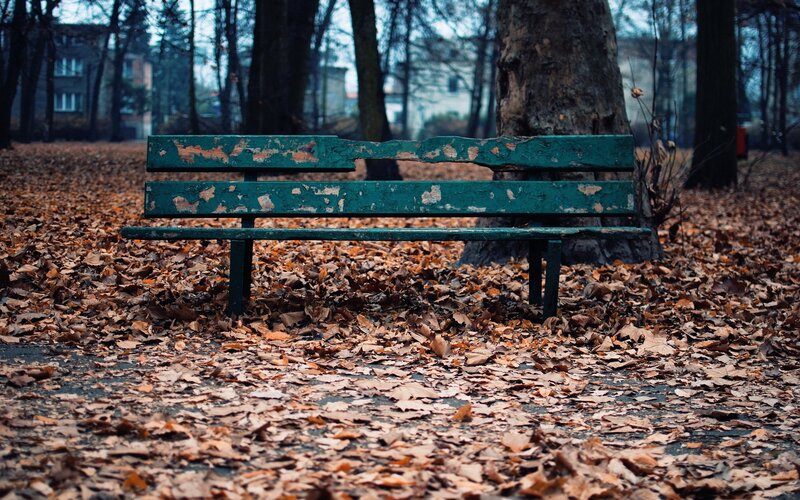 Weathered Park Bench — Green