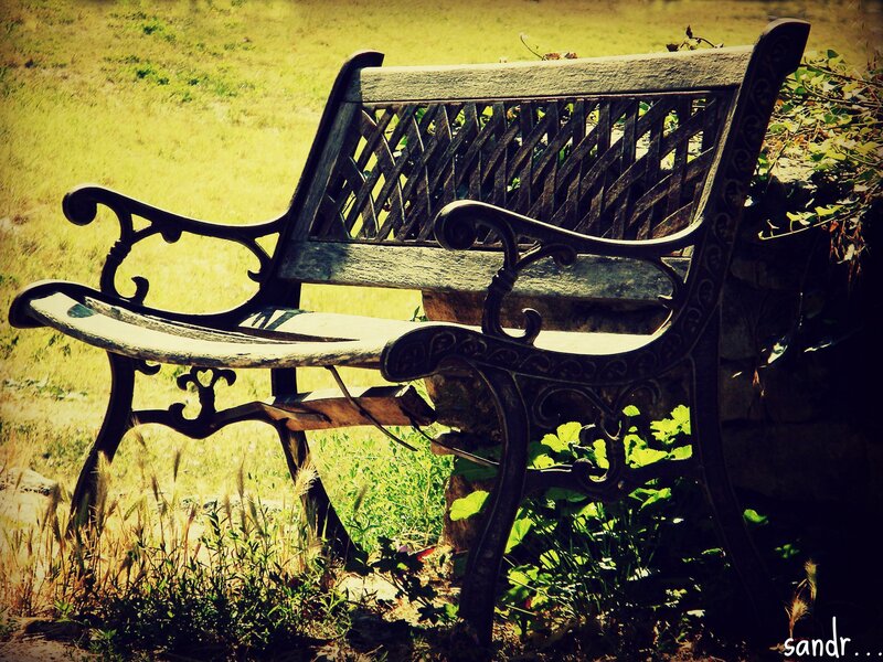 Weathered park bench in sunlight