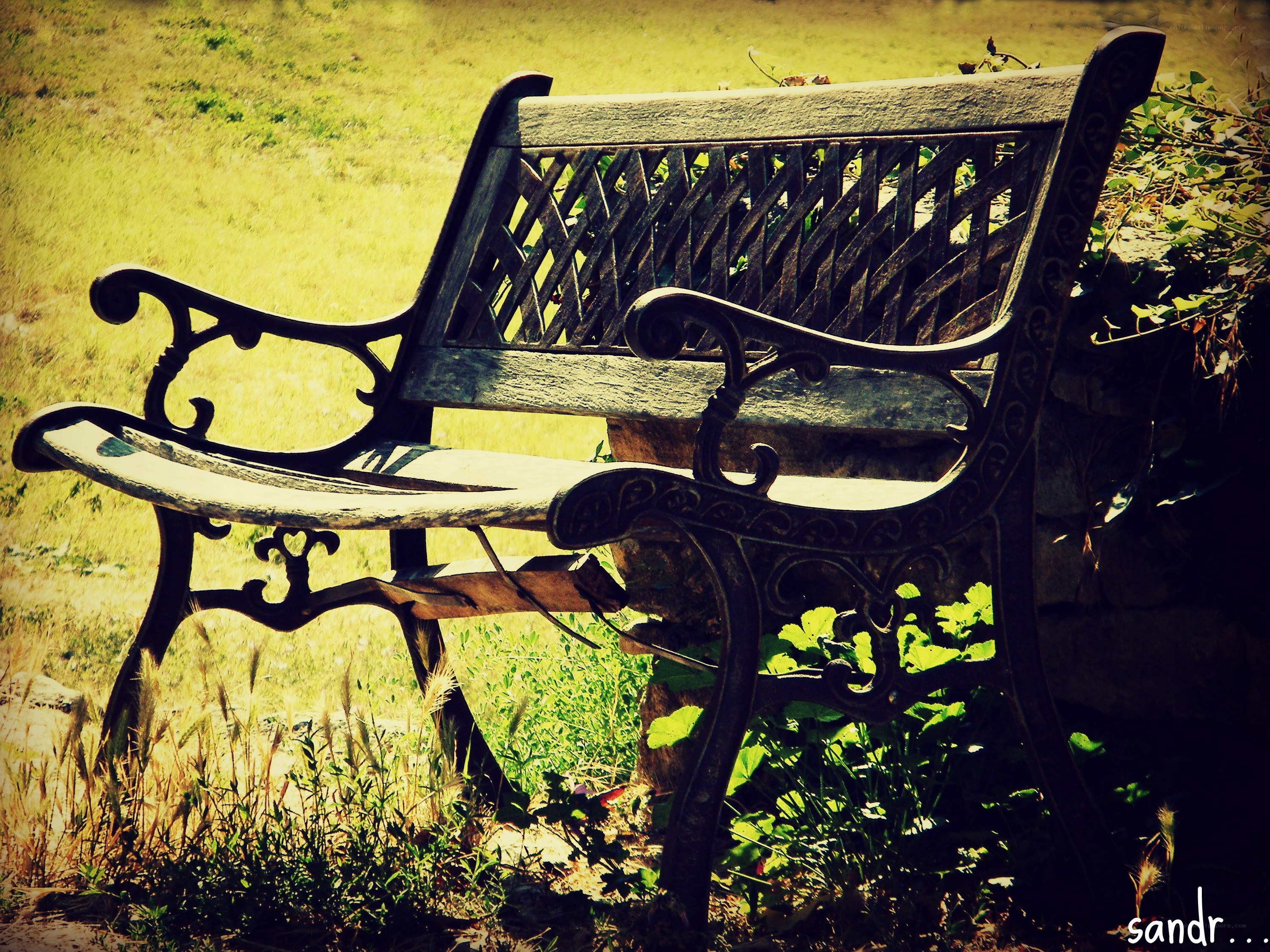 Weathered park bench in sunlight