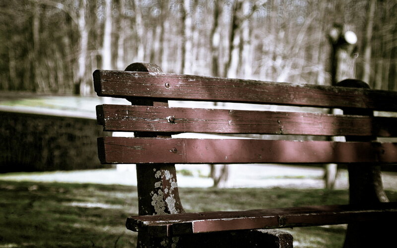 Weathered Park Bench