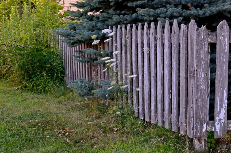 Weathered Picket Fence