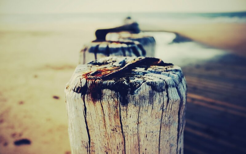 weathered posts on a beach