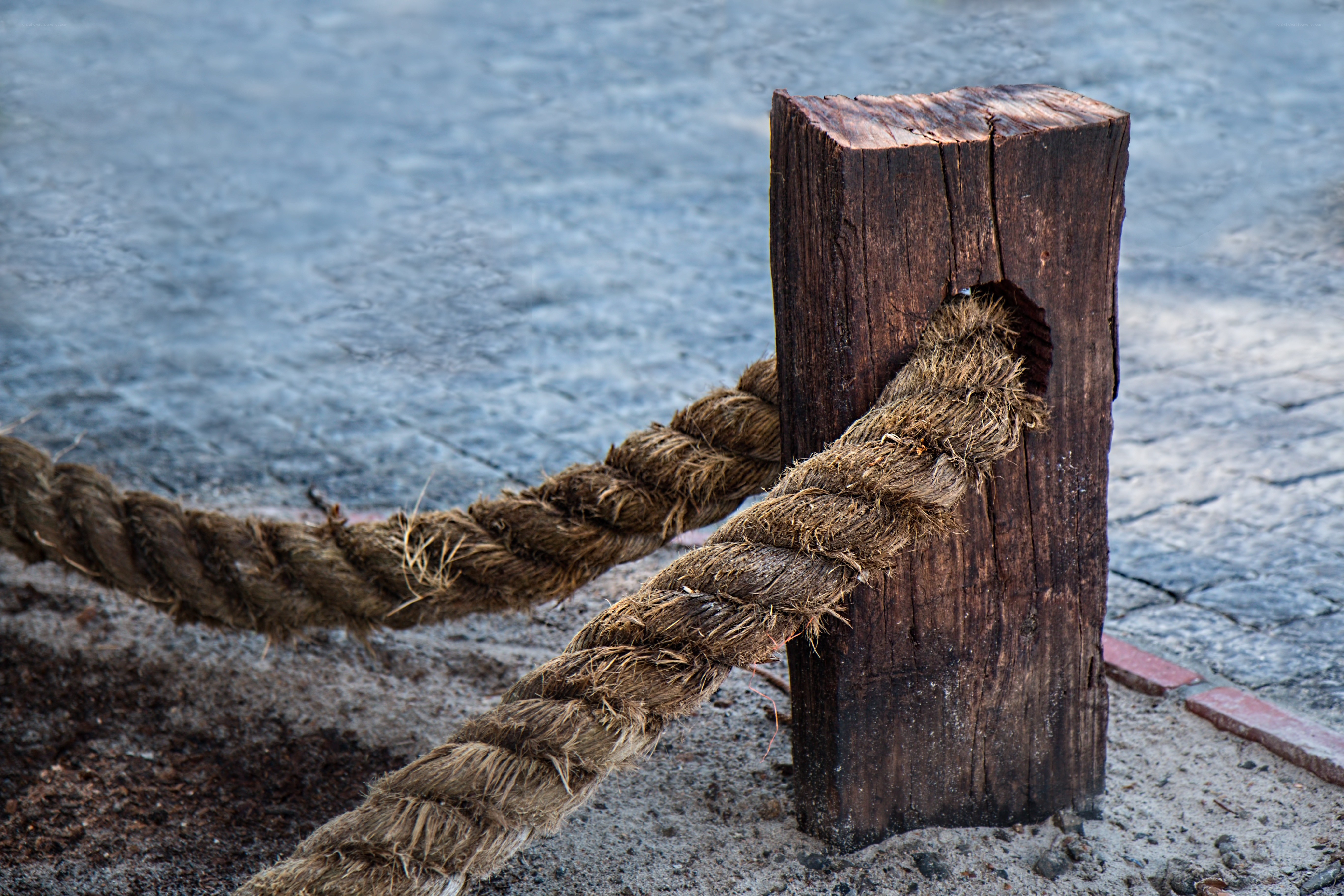 weathered rope and post by water