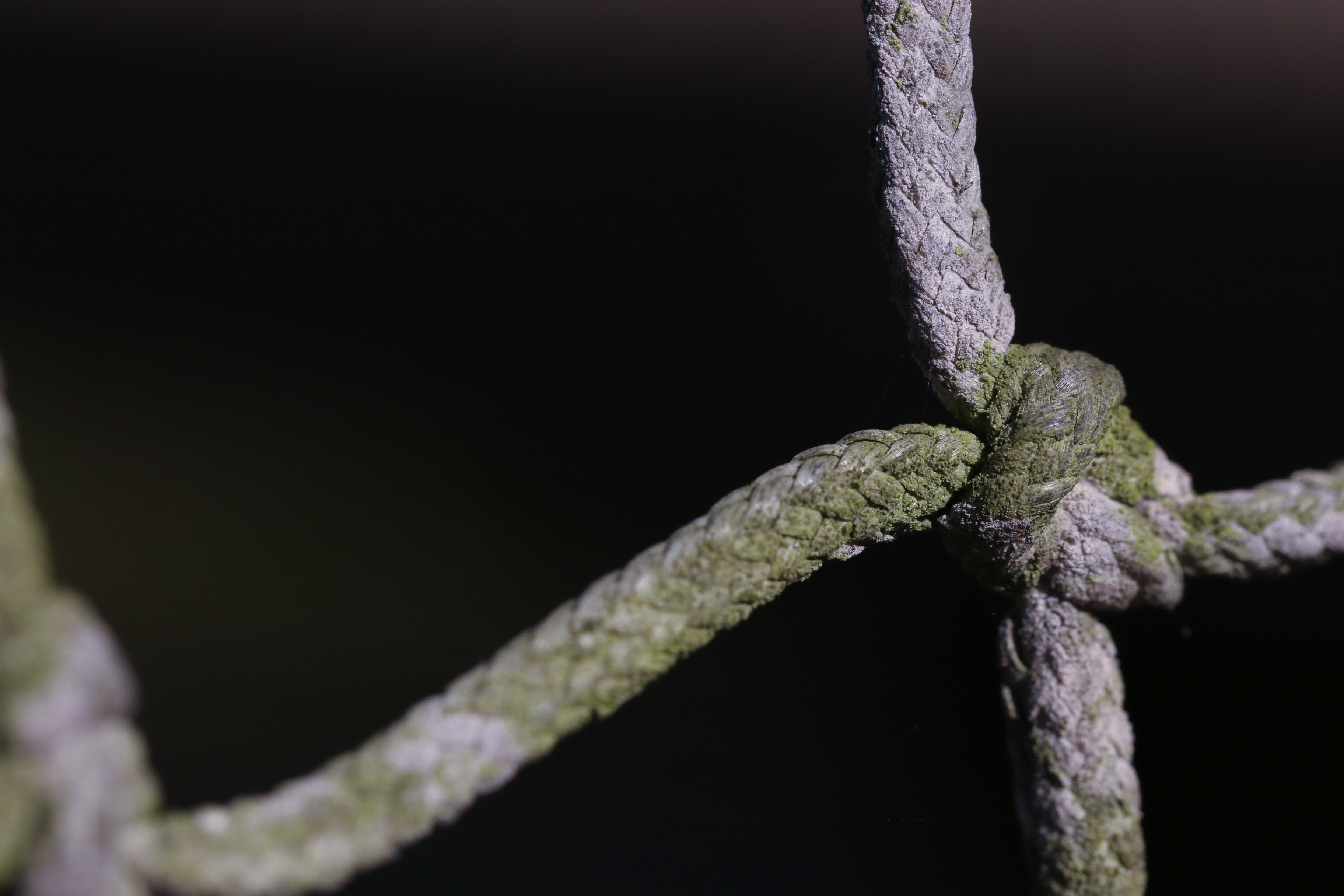 weathered rope knot