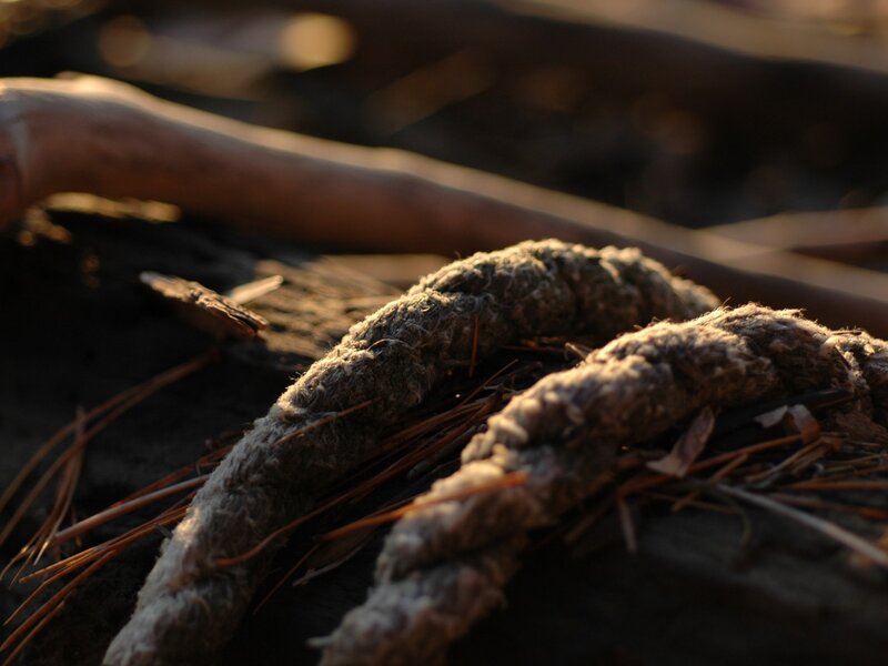 weathered rope on driftwood