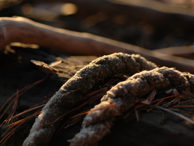 weathered rope on driftwood