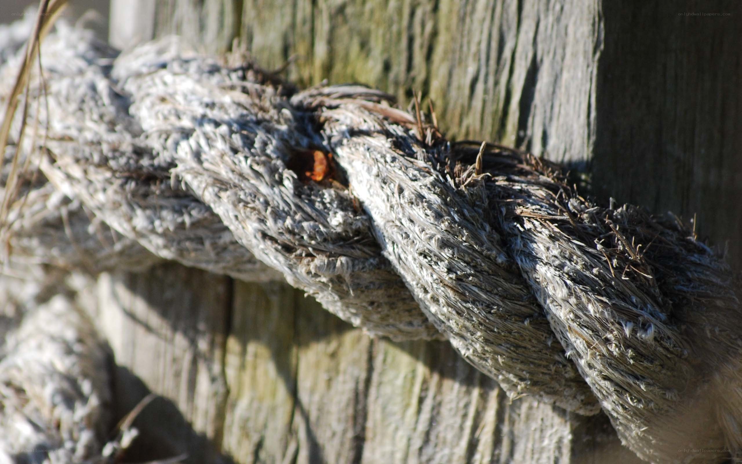 weathered rope on wooden post