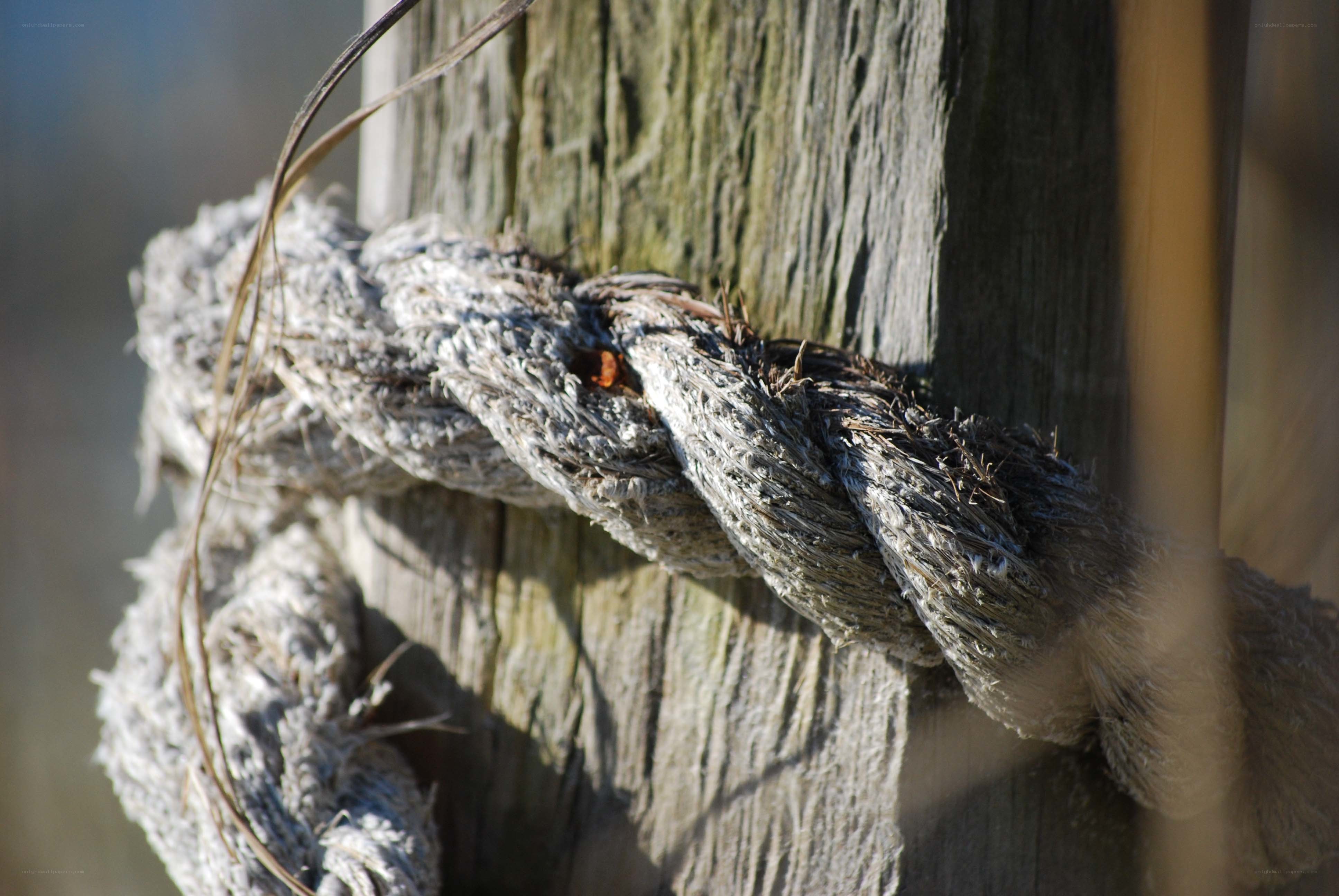 weathered rope on wooden post