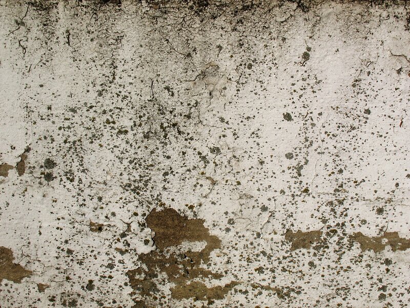 weathered wall texture