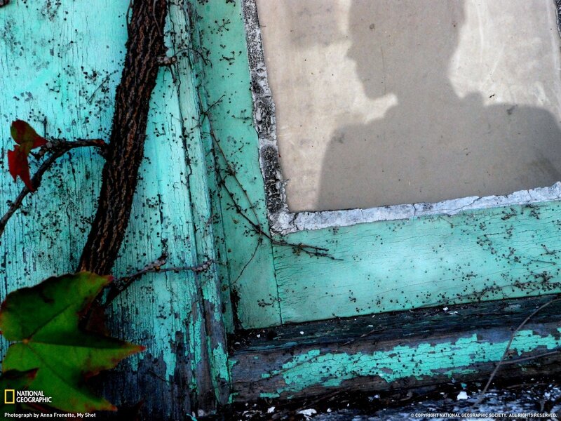Weathered Window Frame — Teal
