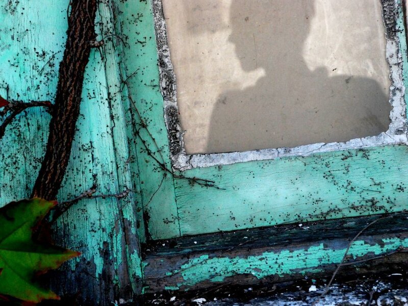 Weathered window with vine shadow