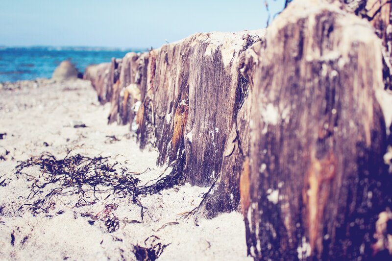weathered wood posts on beach