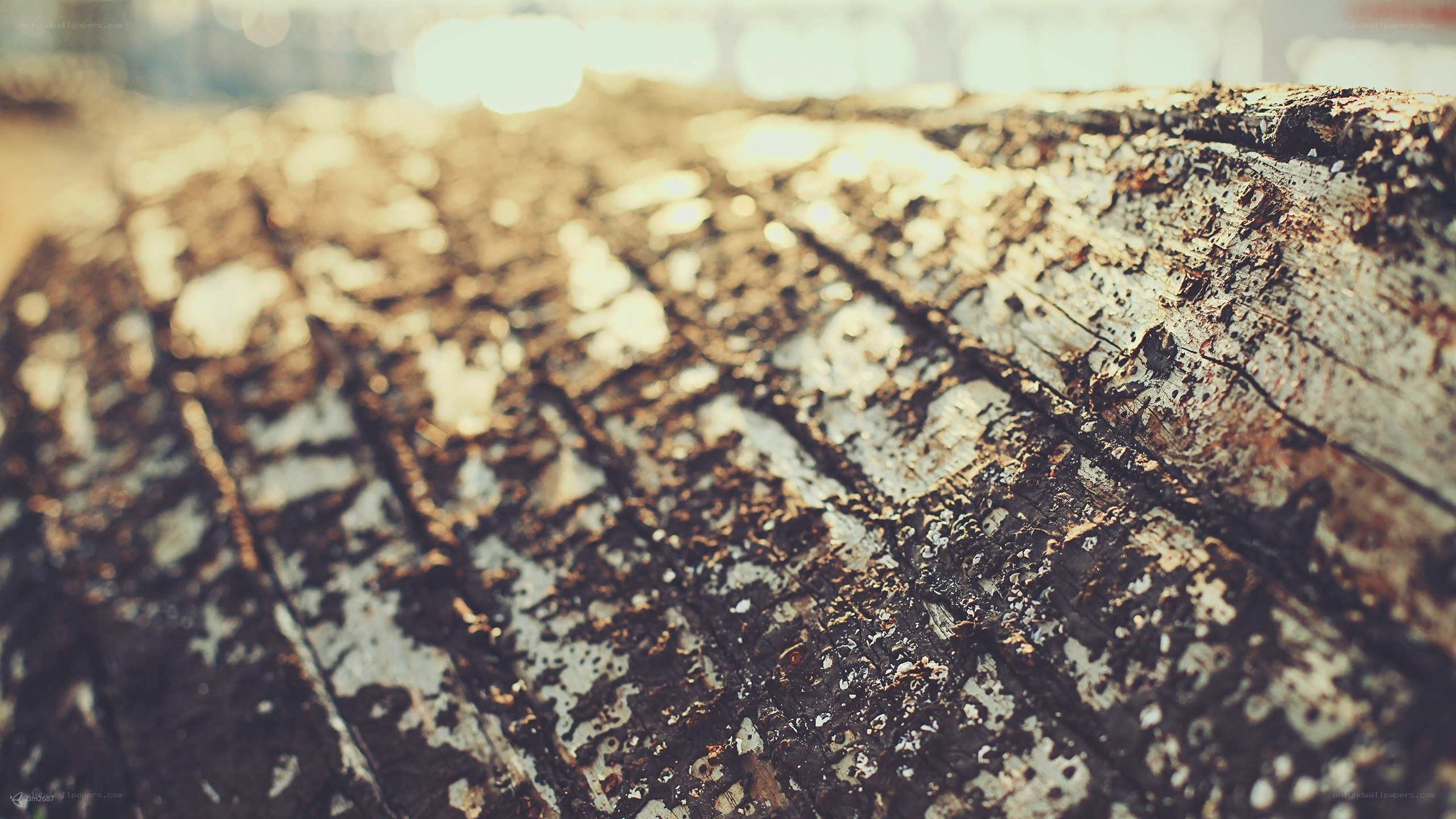 weathered wood texture