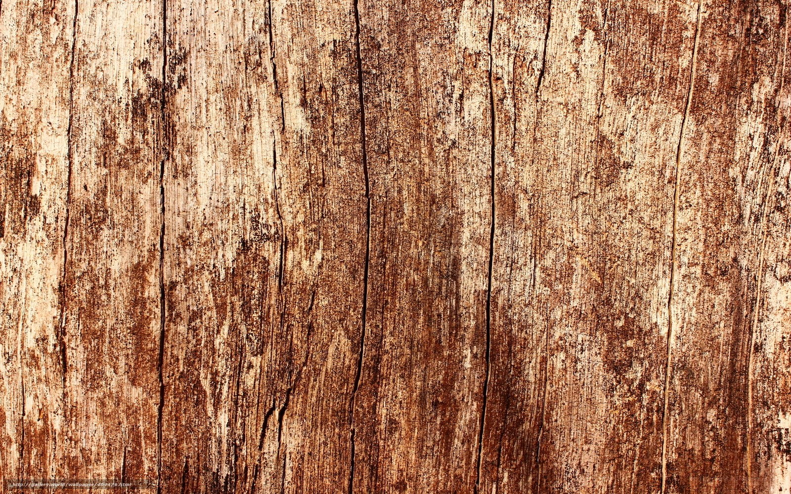 weathered wood texture