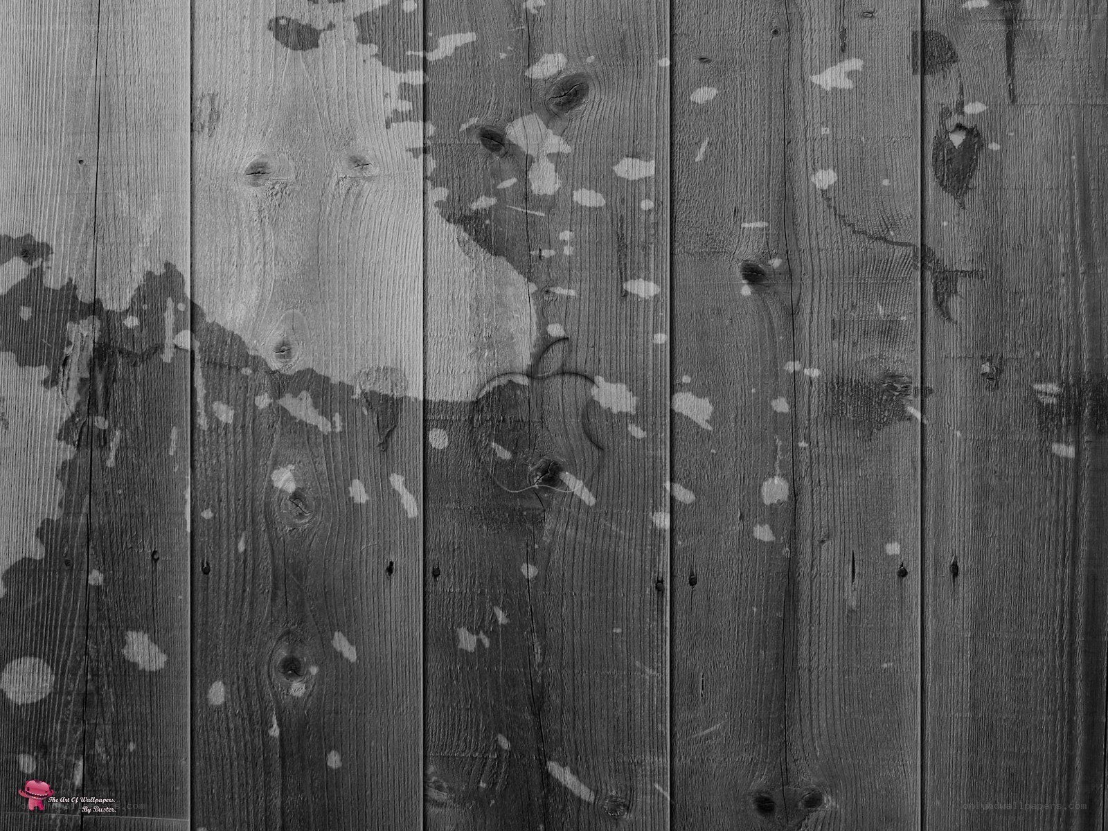 weathered wood texture