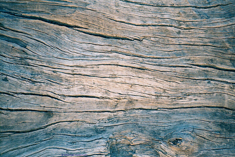 weathered wood texture