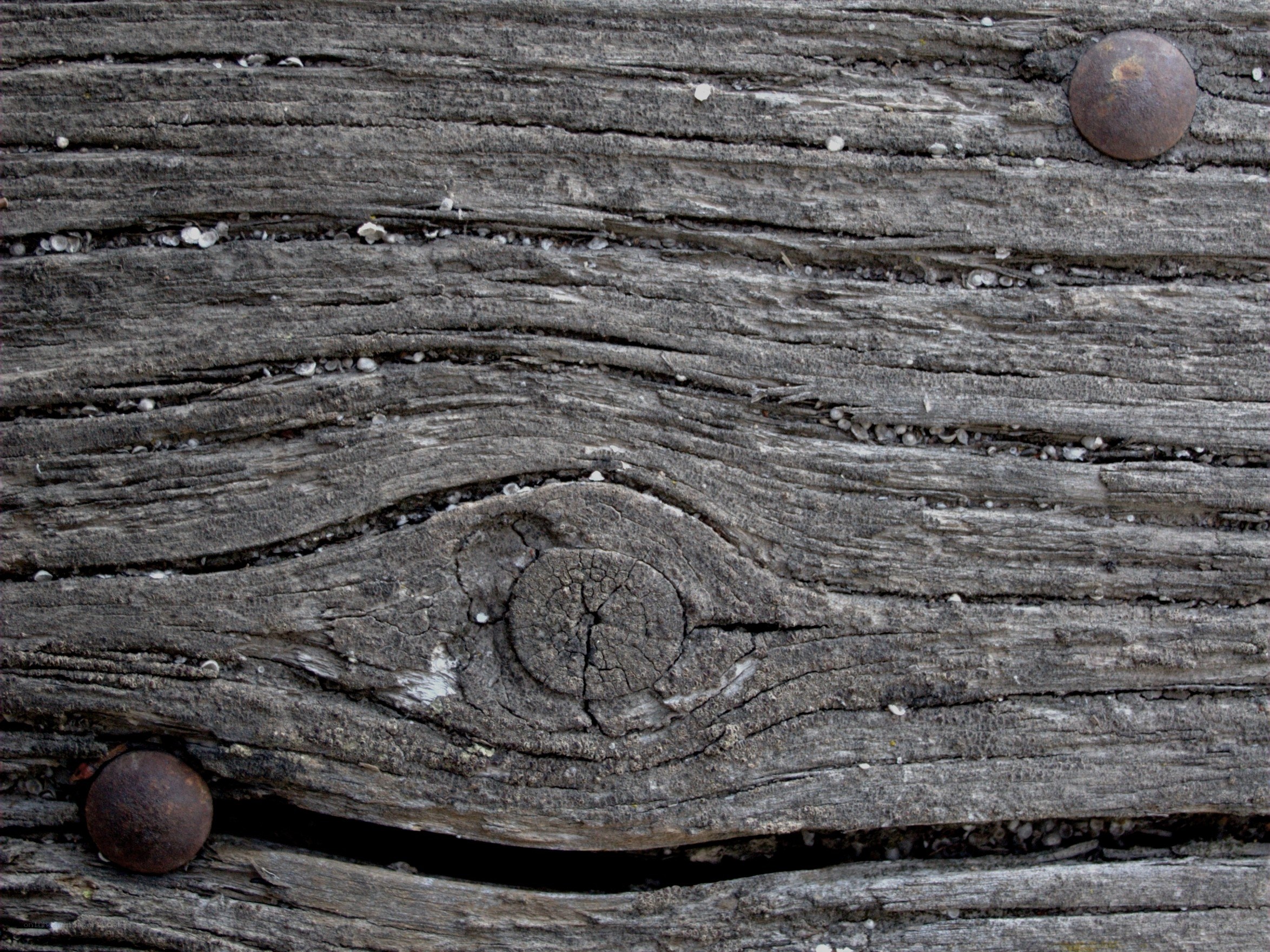 weathered wood texture